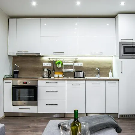 In Downtown Apartment *